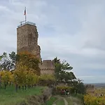 Morio * Friedelsheim