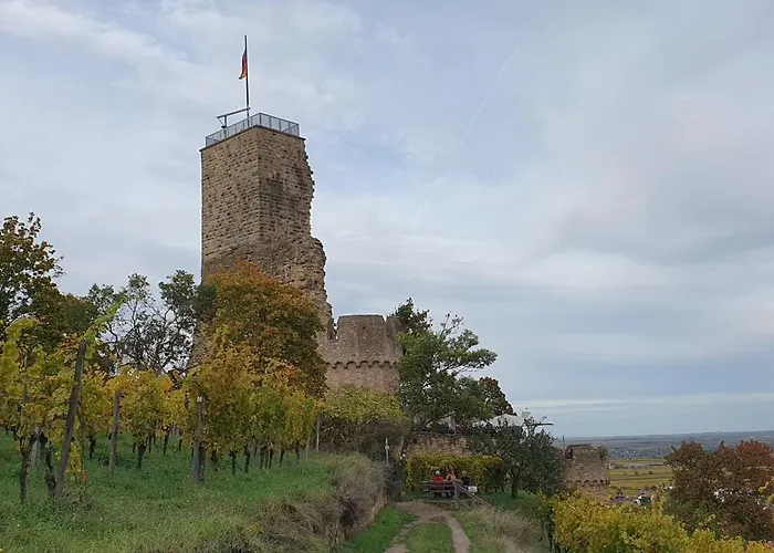 Morio * Friedelsheim