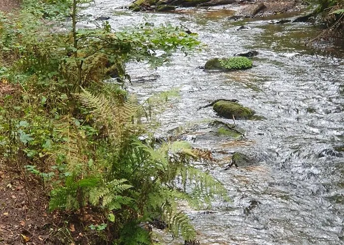 Morio Apartament Friedelsheim