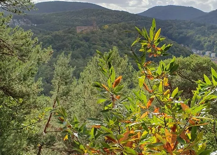 Apartament Morio Friedelsheim